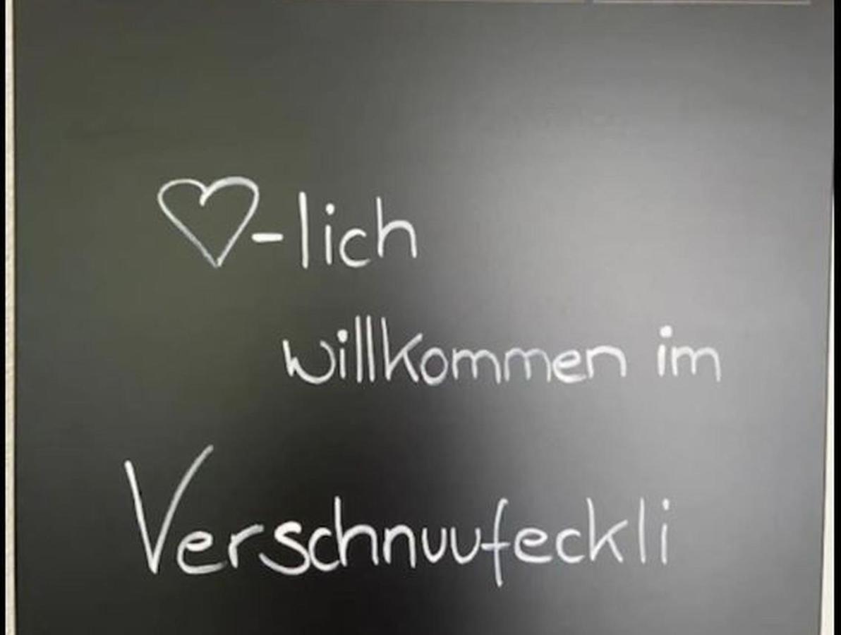 Ferienwohnung Verschnuufeckli فير المظهر الخارجي الصورة